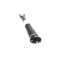 Cadillac STS Rear Right Air Strut with Magnetic Ride Control 2005