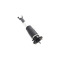 Cadillac STS Rear Left Air Strut with MRC (Magnetic Ride Control) 2005