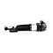 BMW 7 Series G11/12 Air Suspension Strut with VDC (2WD+4WD) Rear Left 37 10 6 874 593
