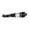 Mercedes-Benz E Class W211 AMG Right Front Air Suspension Shock A2113205638