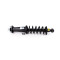Toyota Crown S210 Rear Left Shock Absorber (coil spring assembly) 2012 - 2018 with AVS (Adaptive Variable Suspension) 485300P010