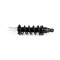 Infiniti QX56 / QX80 Z62 Front Right Shock Absorber (coil spring assembly) 2010 - 2013 E61001LA7D