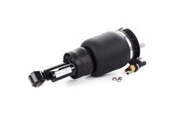 Ford Expedition Air Suspension Strut Rear Left with Reservoir (2003-2006)