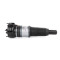 Audi A6 C7 4G Allroad Quattro Front Air Suspension Strut (Left or Right) with CDC 4H0616039AR
